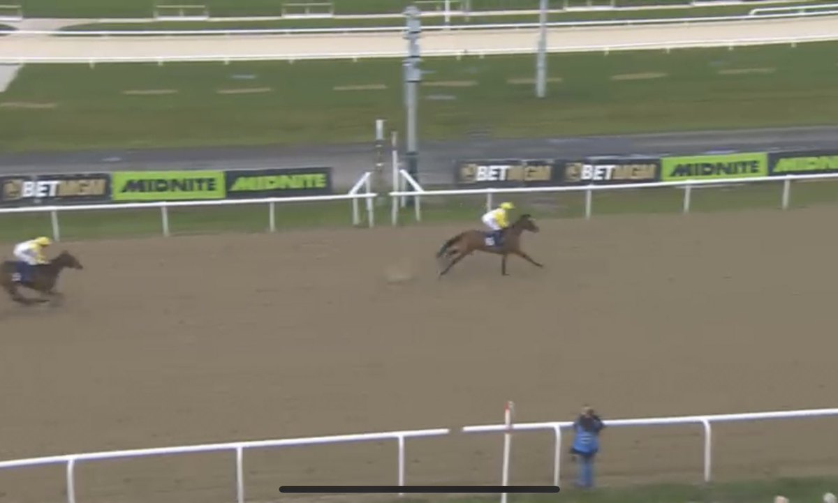 ProTipster tweet media