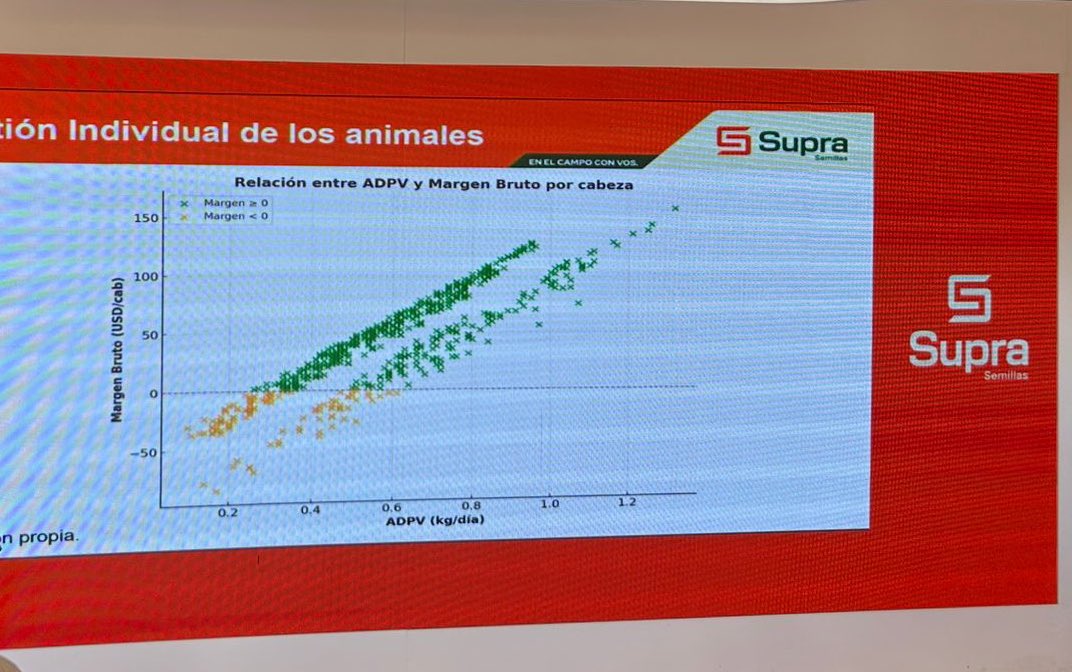 Osvaldo W. Luna 🌳🌾🐂 🇦🇷 tweet media