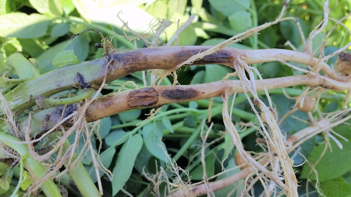 Jeff Miller tweet media