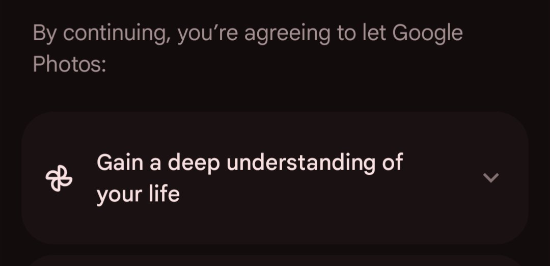 Honduras Volta tweet media