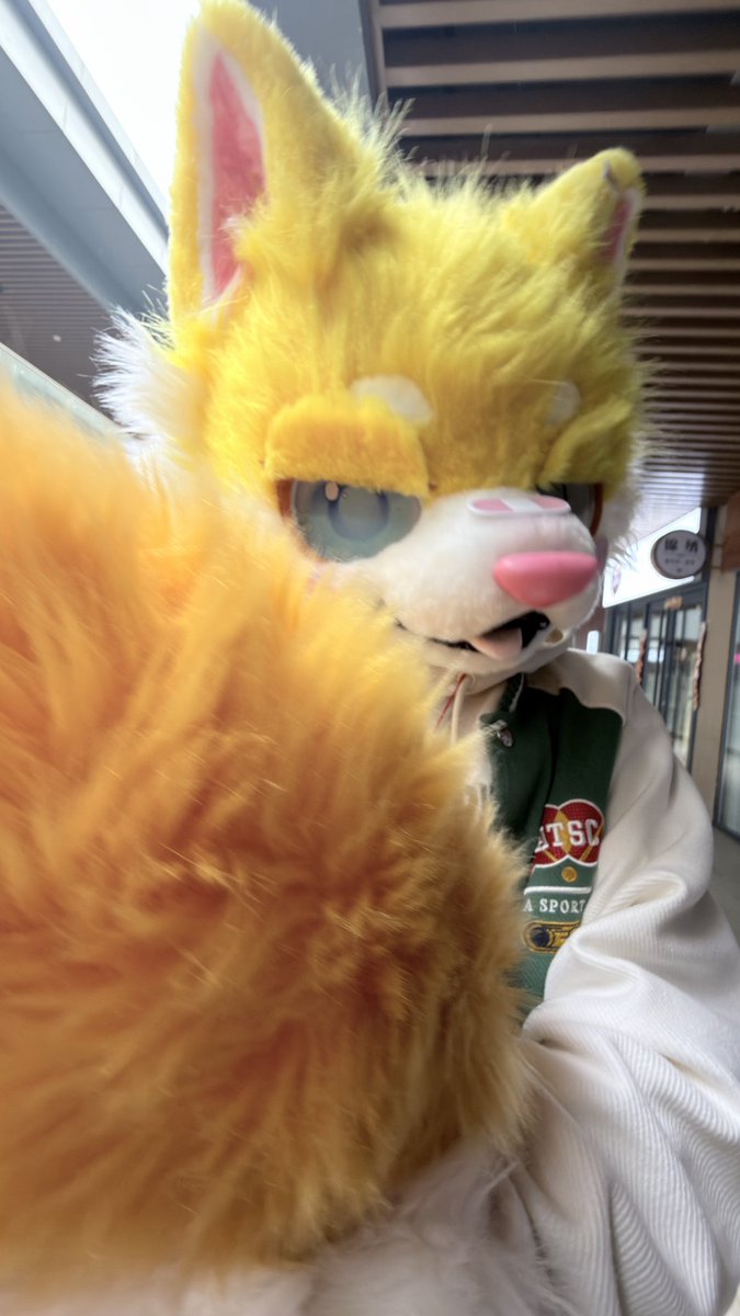 闻墨赠香 tweet media