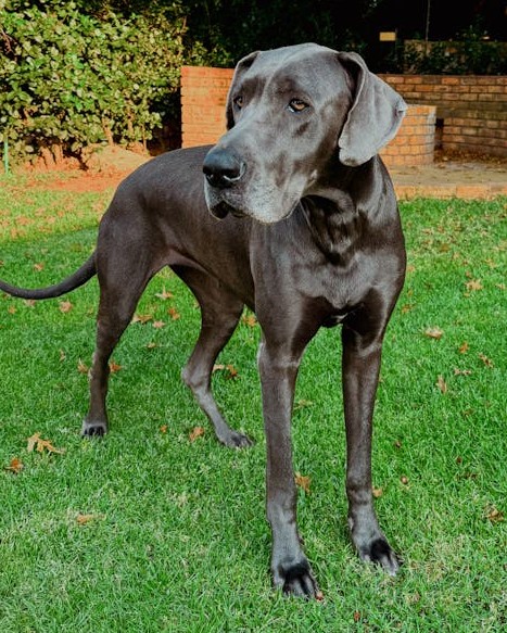 Entendu au bureau tweet media