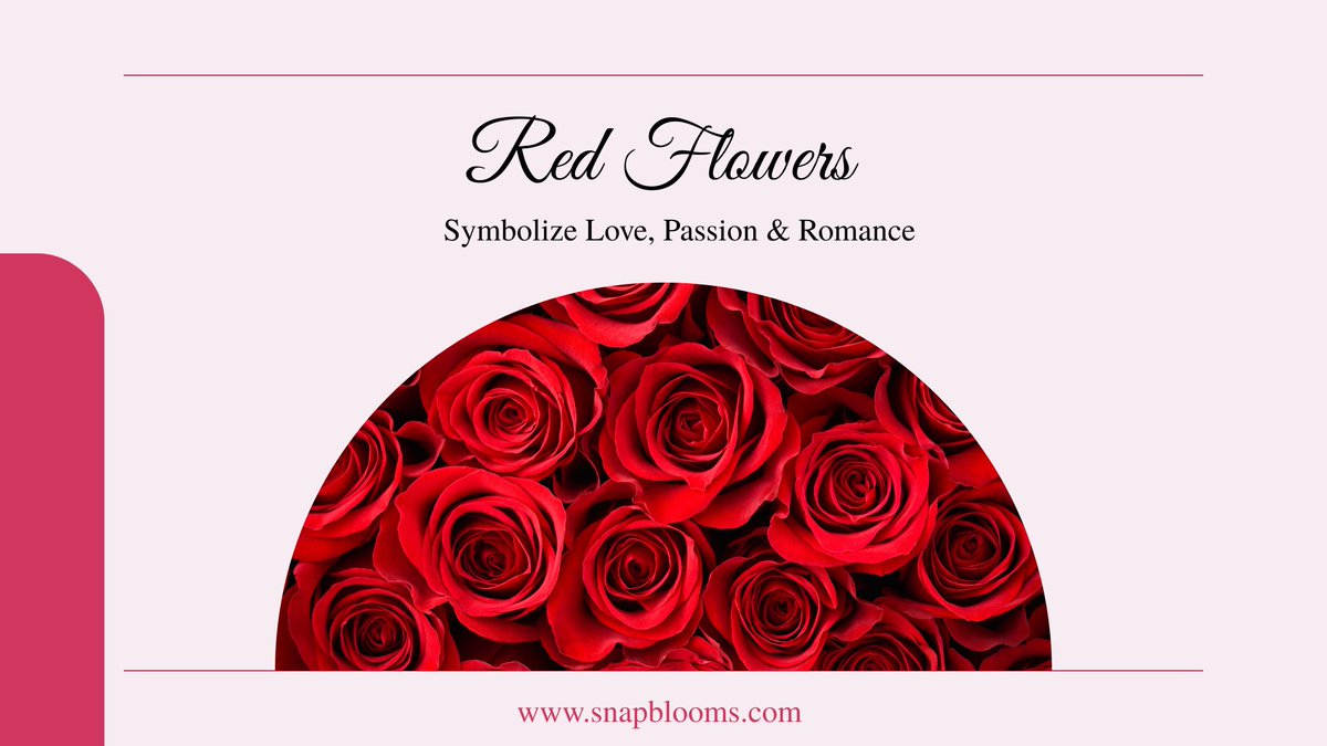 SnapBlooms's tweet photo. Flowers come in so many beautiful colors… but have you ever wondered what each one represents? 
Which flower color do you love the most? Tell us in the comments!
Shop beautiful blooms today: https://t.co/3lcRfnl5GC

#FlowerColors #AdolfosCreation #FreshFlowers #FlowerDelivery https://t.co/X8ZDQjYYvb