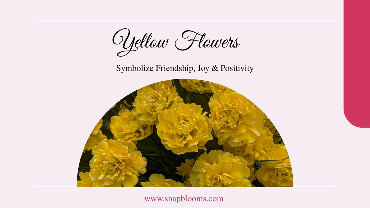 SnapBlooms's tweet photo. Flowers come in so many beautiful colors… but have you ever wondered what each one represents? 
Which flower color do you love the most? Tell us in the comments!
Shop beautiful blooms today: https://t.co/3lcRfnl5GC

#FlowerColors #AdolfosCreation #FreshFlowers #FlowerDelivery https://t.co/X8ZDQjYYvb