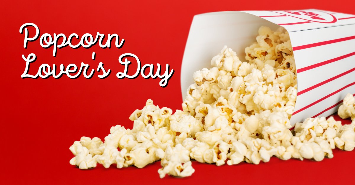 Midnight Apparel tweet media