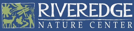 STEM Forward tweet media