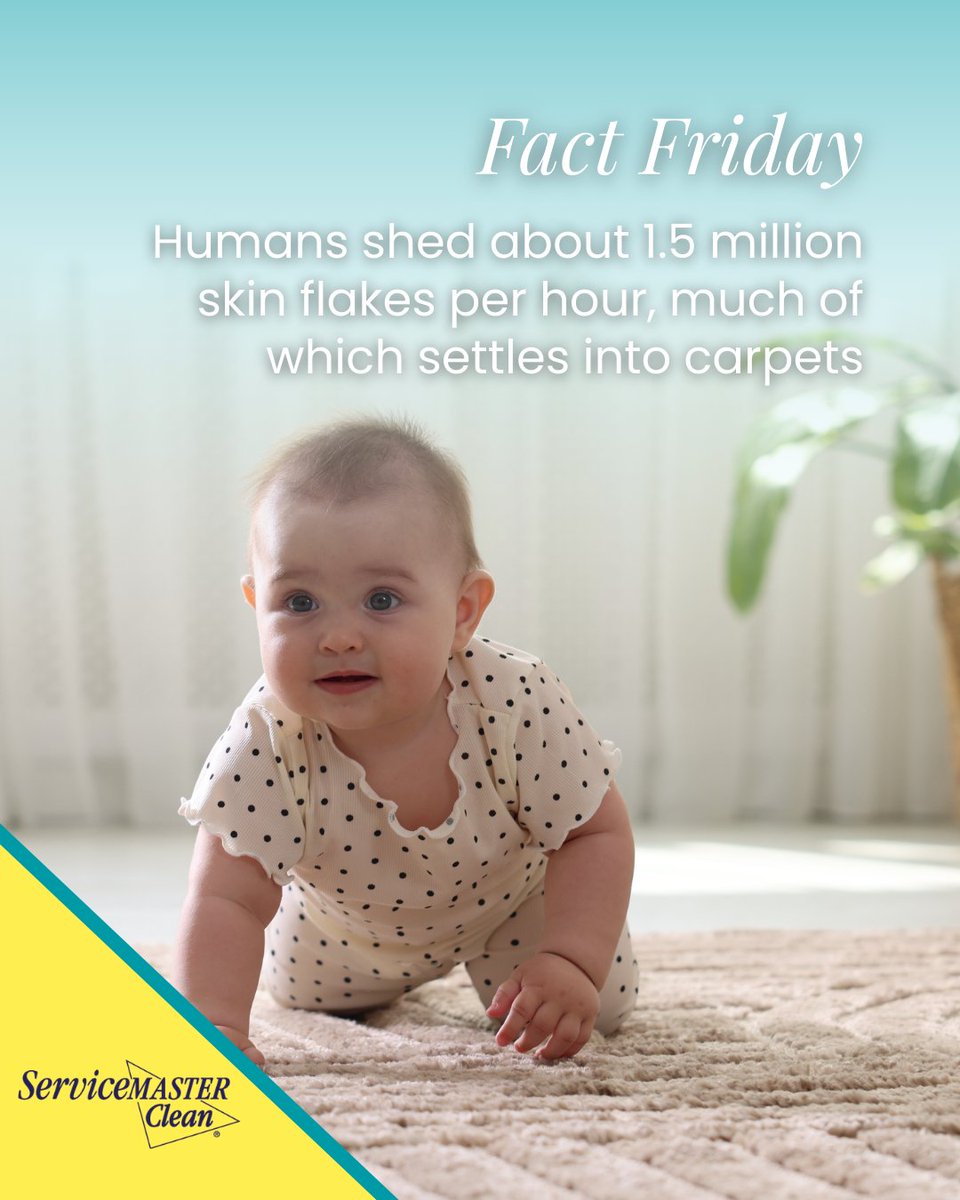 SM_CleanUK's tweet photo. Ew! π€’
That's why we're here to give your carpets a clean!
https://t.co/Ppslk90bB1 | 0800 021 3073
#FactFriday #ServiceMasterClean https://t.co/BnIE9fUWGO
