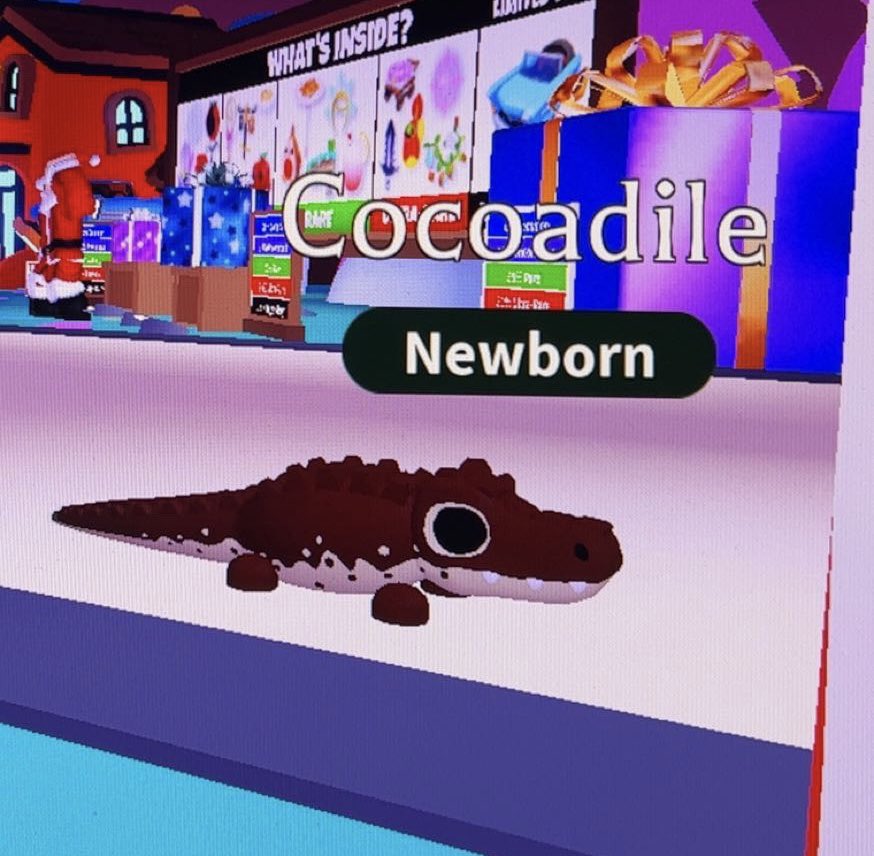 ash 💗 tweet media