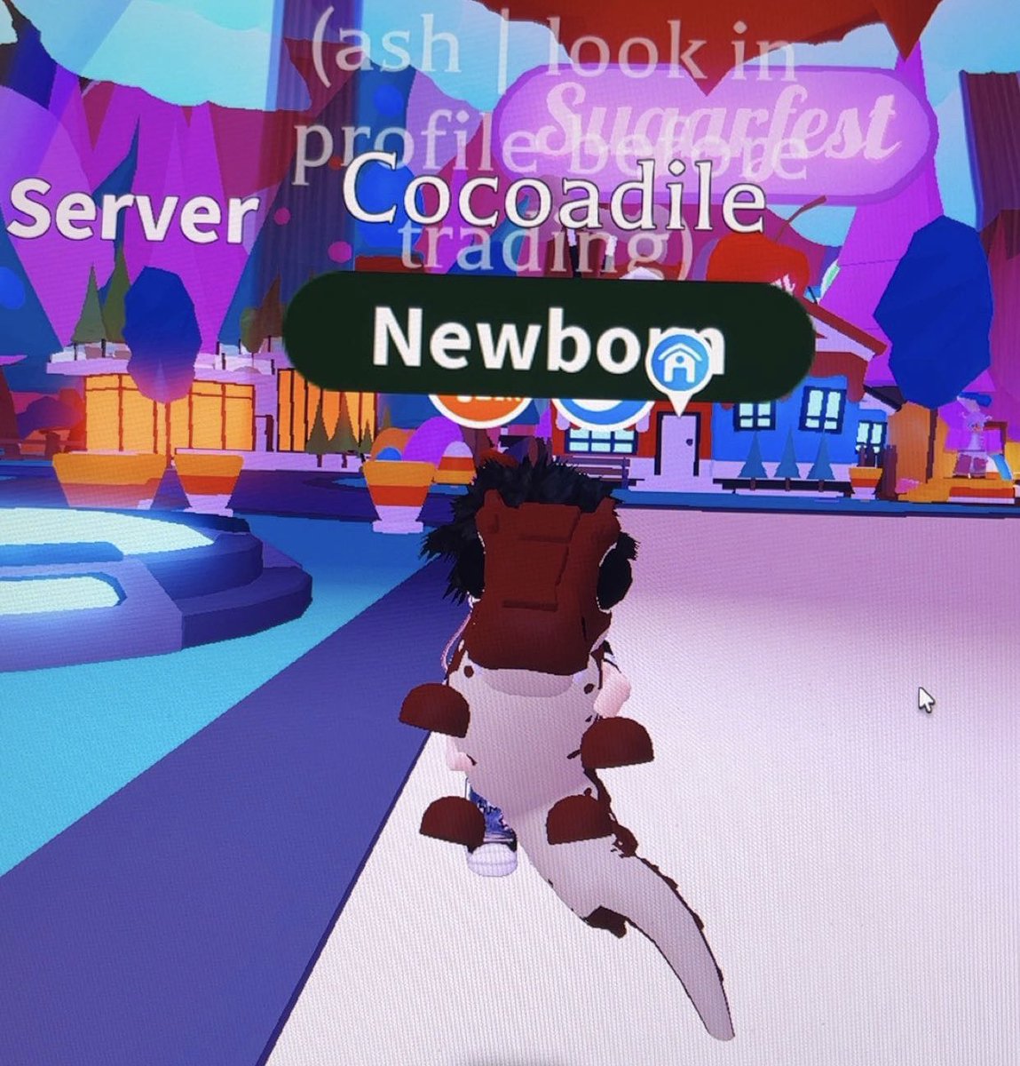 ash 💗 tweet media