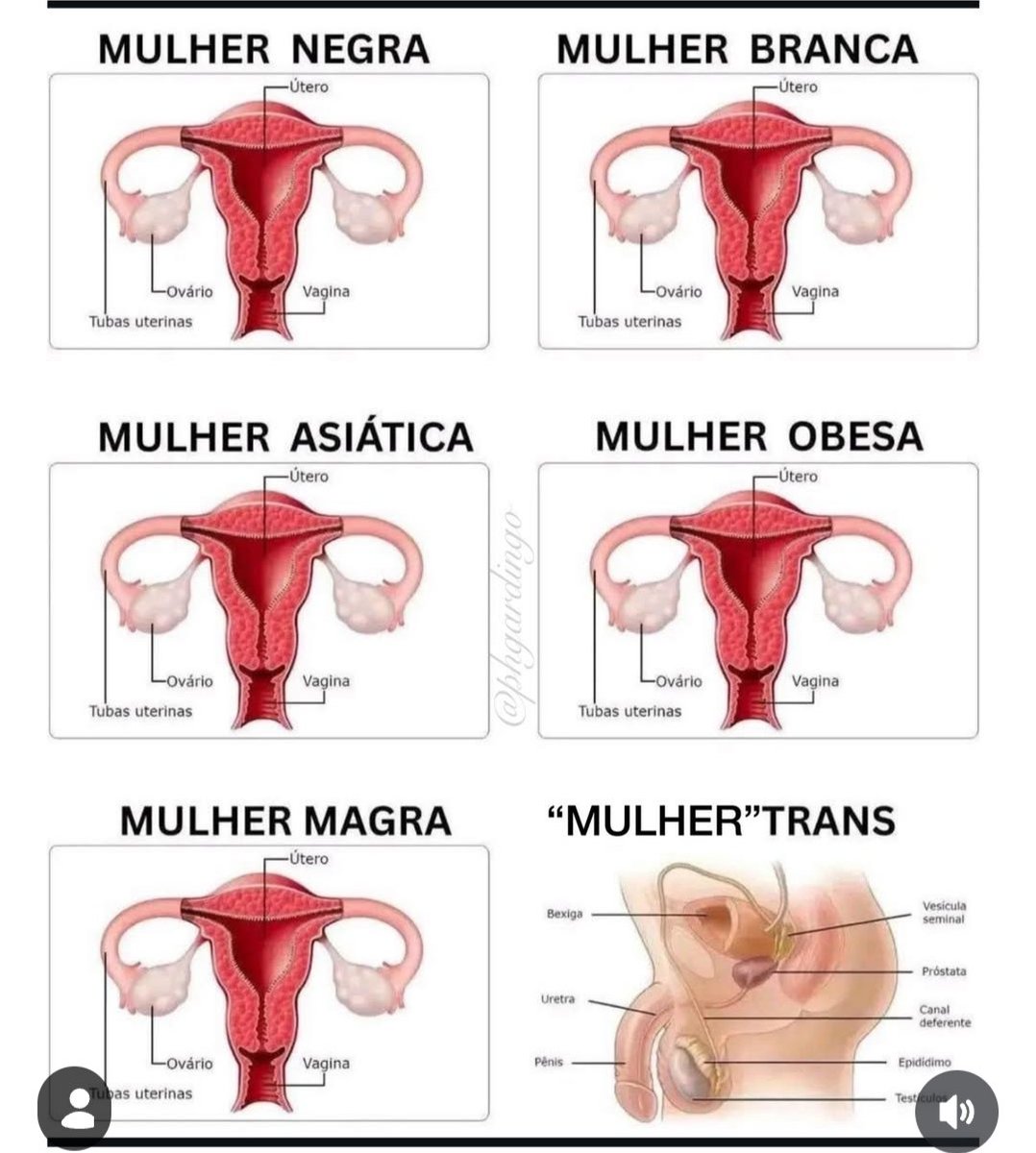 Edilene Queiroga tweet media