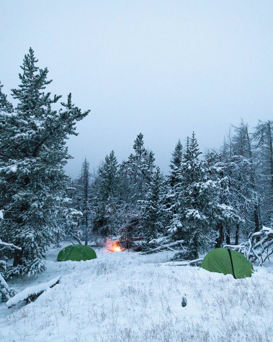 First Lite tweet media