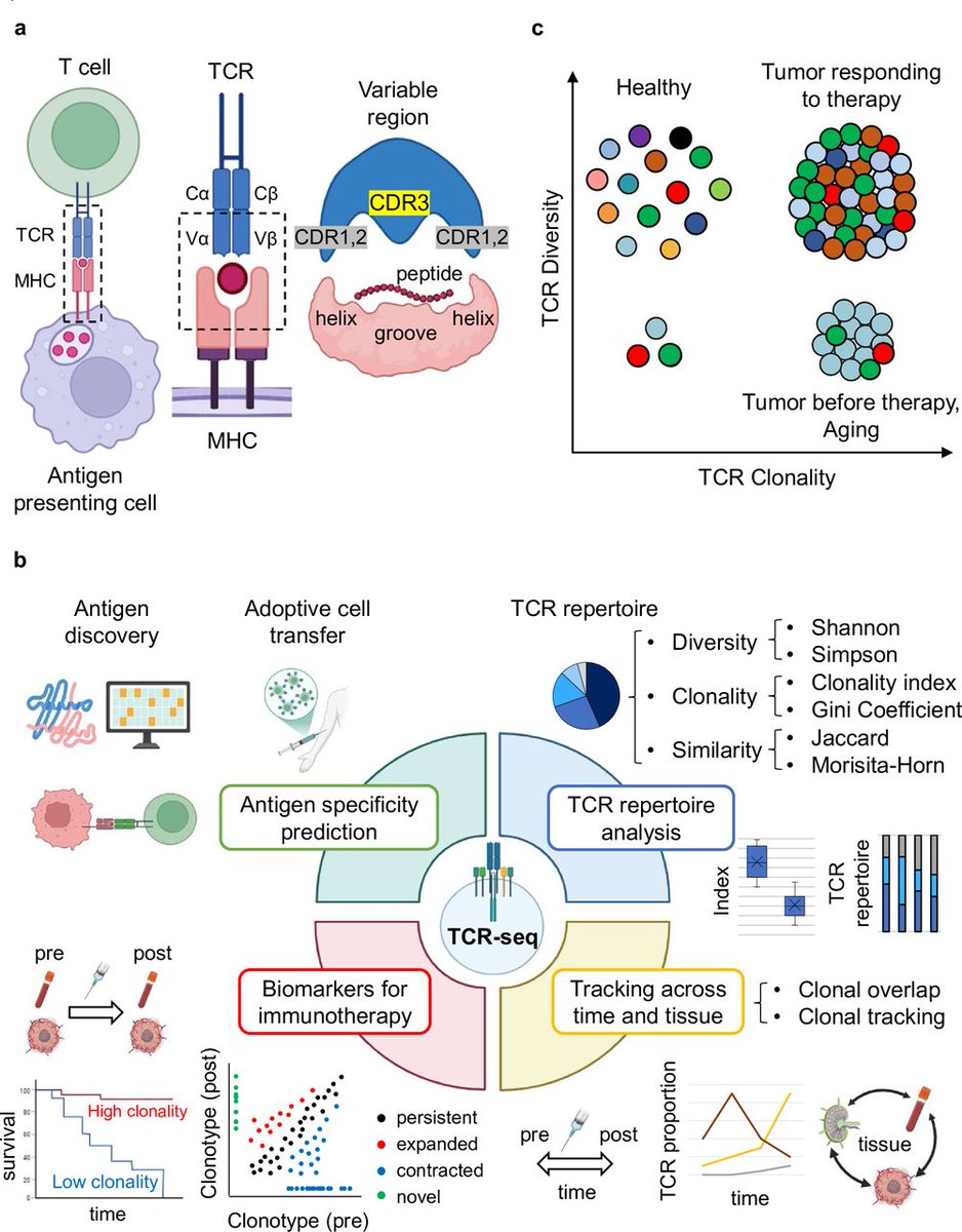 Journal for ImmunoTherapy of Cancer tweet media