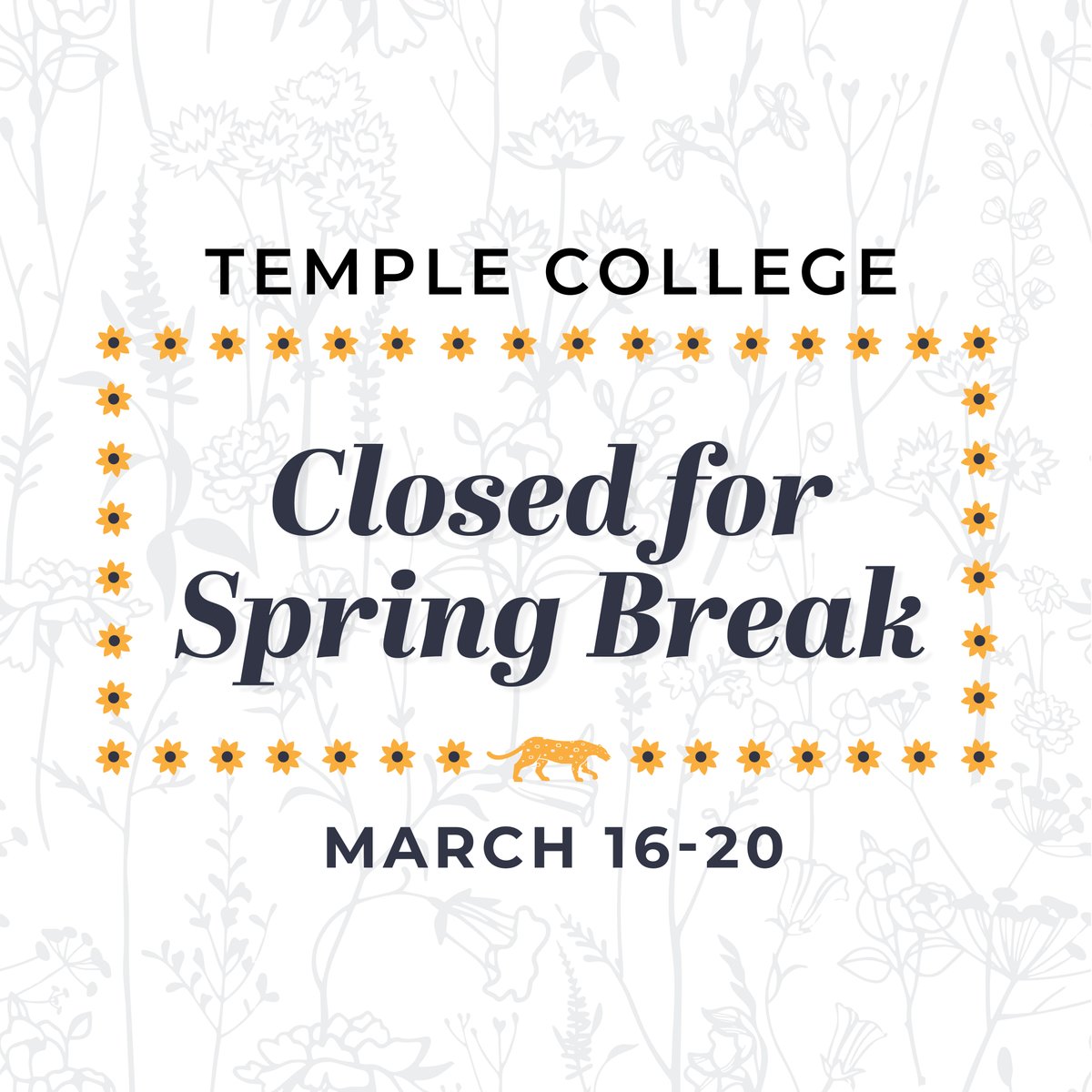 Temple College tweet media
