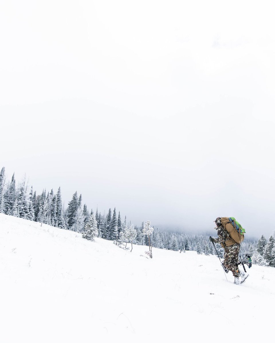 First Lite tweet media