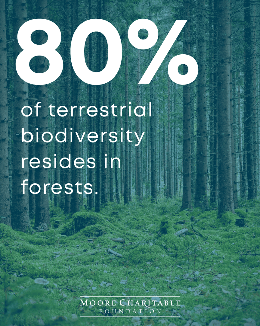 Moore Charitable tweet media