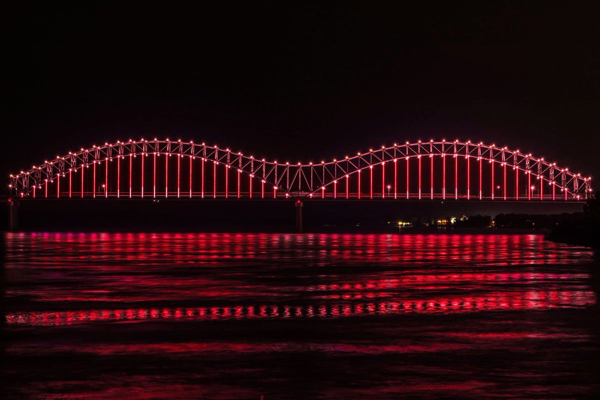 Mighty Lights tweet media