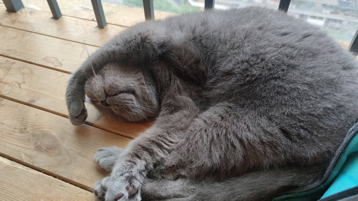 浮かれポンチ大怪兽 tweet media