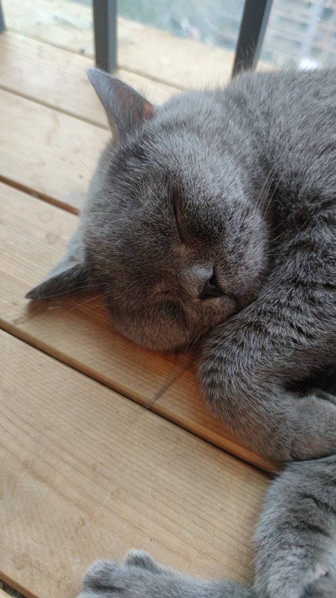 浮かれポンチ大怪兽 tweet media