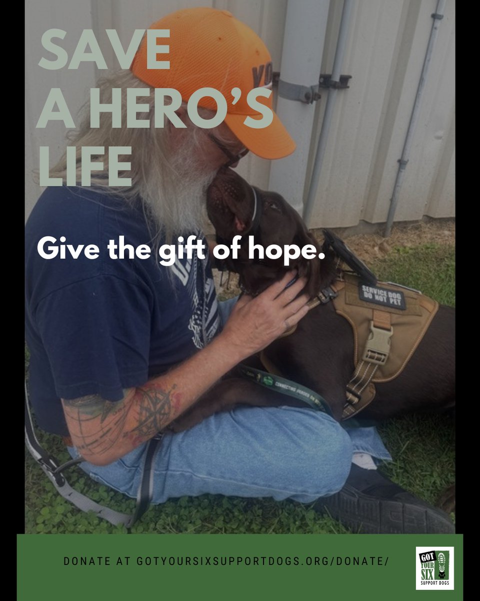 Got Your Six Dogs tweet media