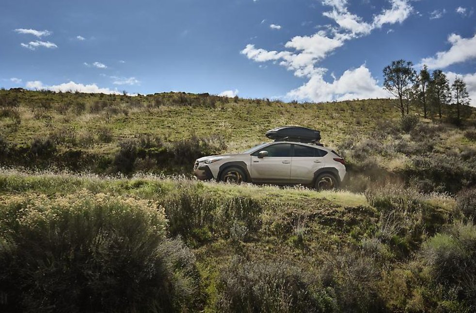 Reedman-Toll Subaru tweet media
