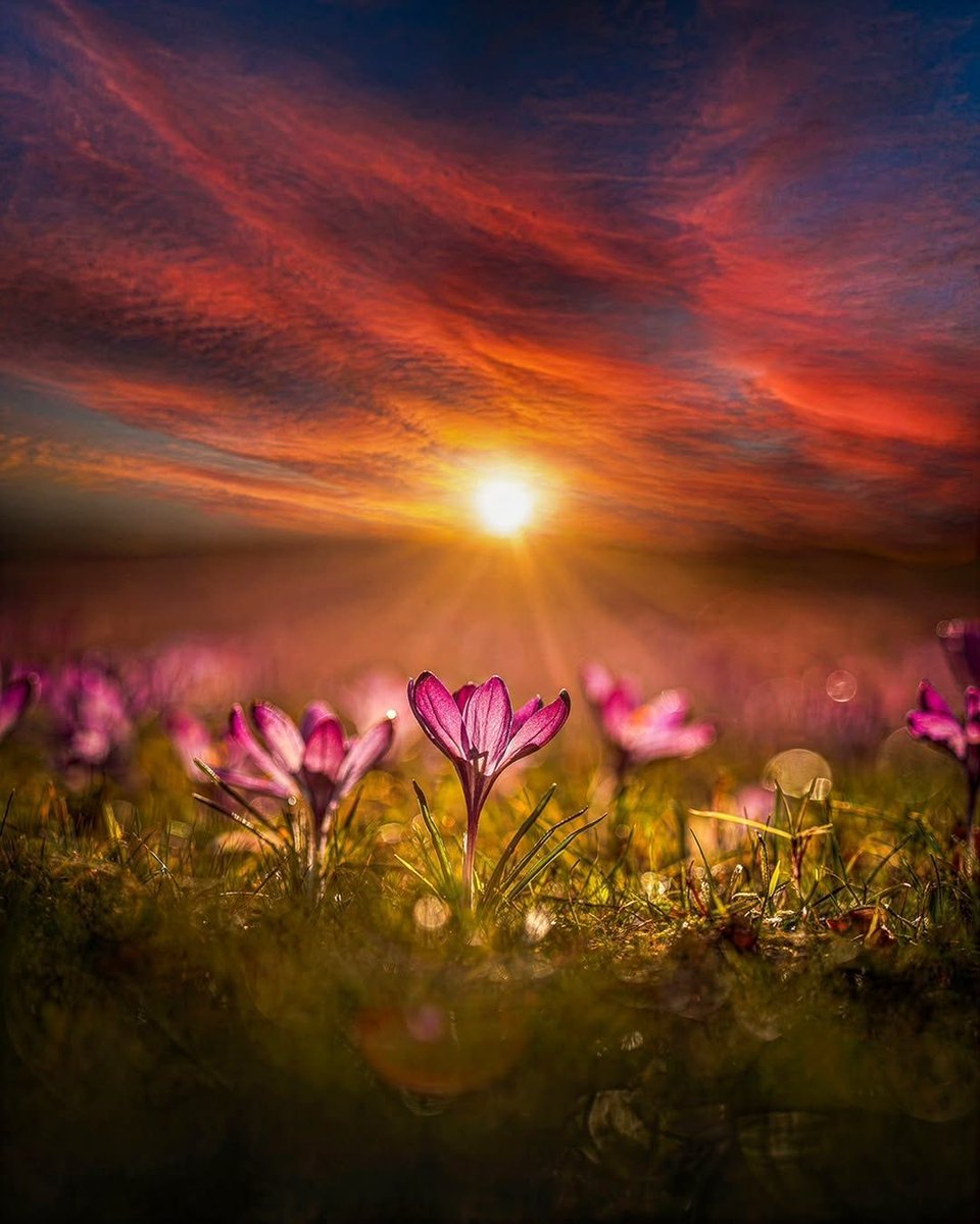 Ramblings tweet media