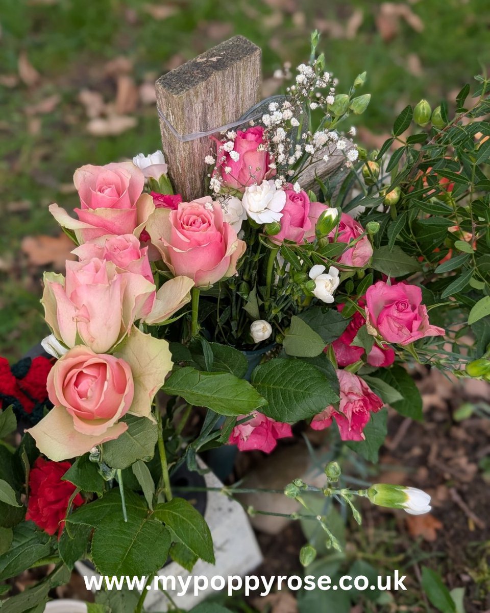 My Poppy Rose tweet media