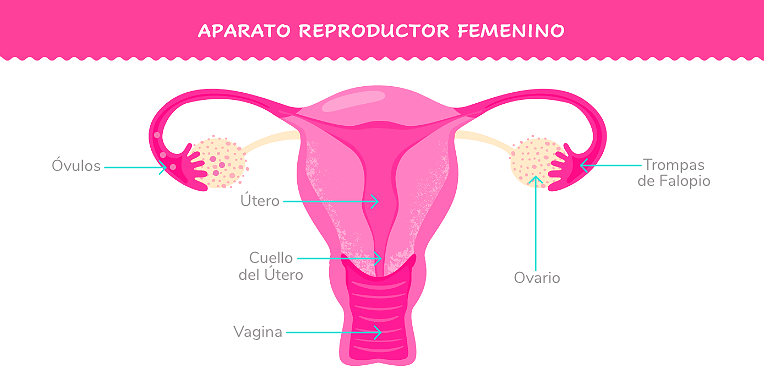 Mónica Lalanda tweet media