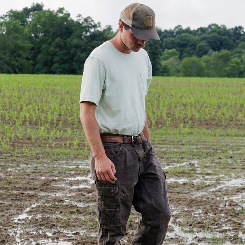 UNL Center for Ag Profitability tweet media