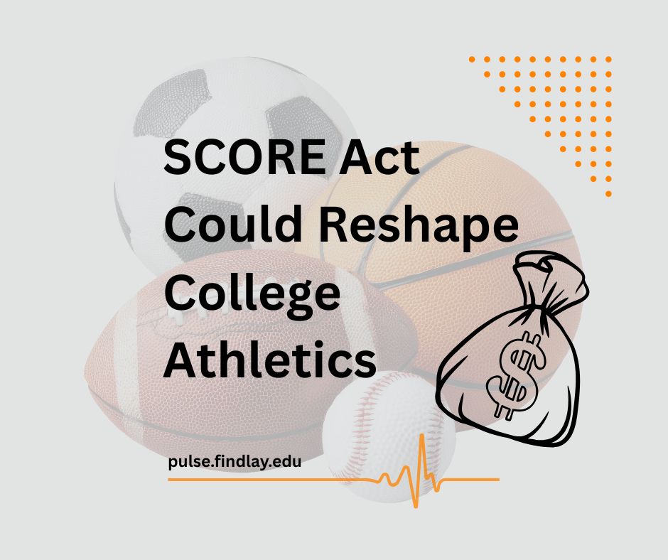 The Pulse tweet media