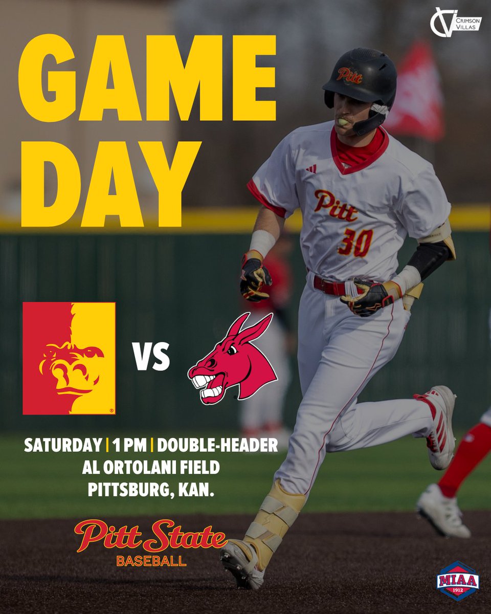 Pitt State Athletics 🦍 tweet media