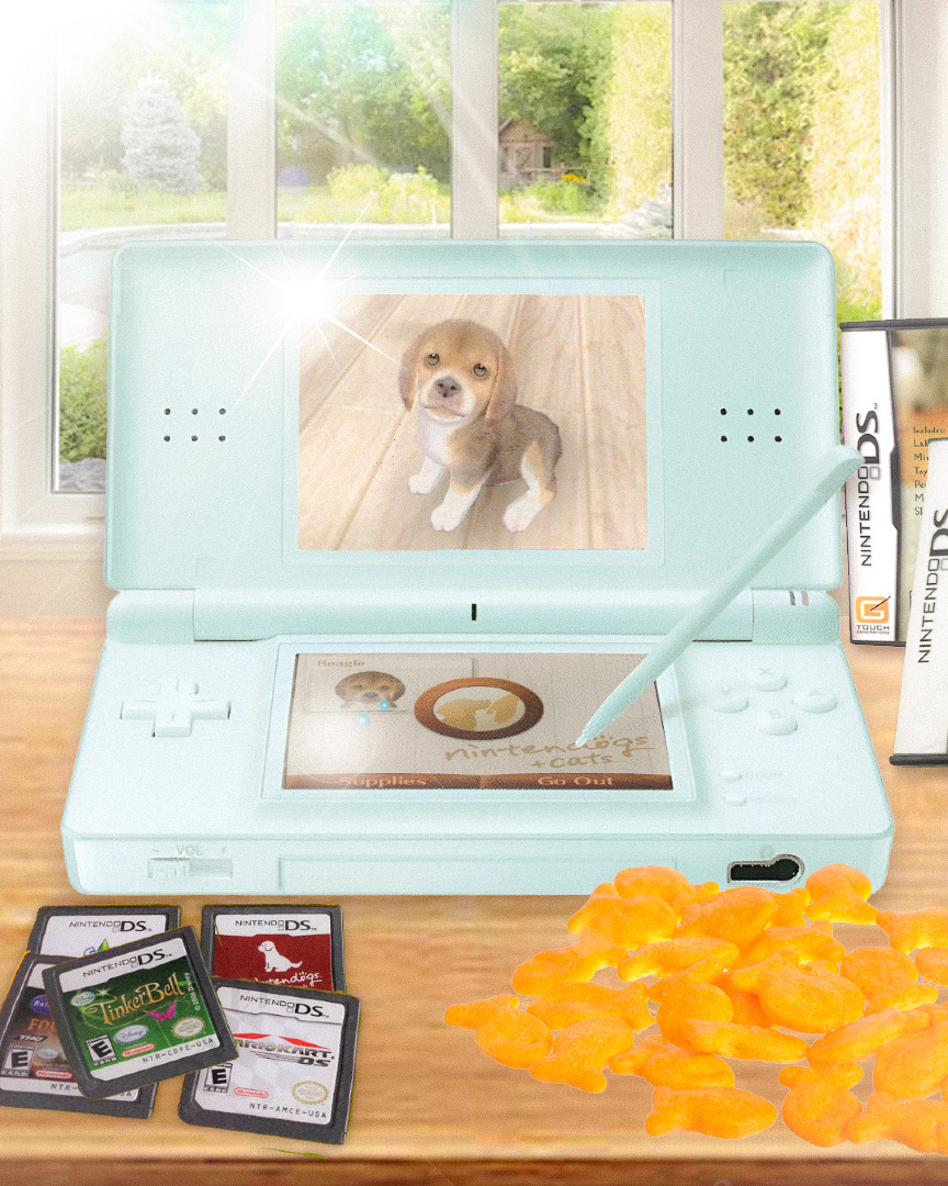skeuoss's tweet photo. When was the last time you checked on your dogs on Nintendogs? 🐶
#frutigeraero #nintendo #nostalgia #early2000s #nintendogs #nintendods #aero #technozen #nostalgiacore #y2k https://t.co/zBwPKKOJg8