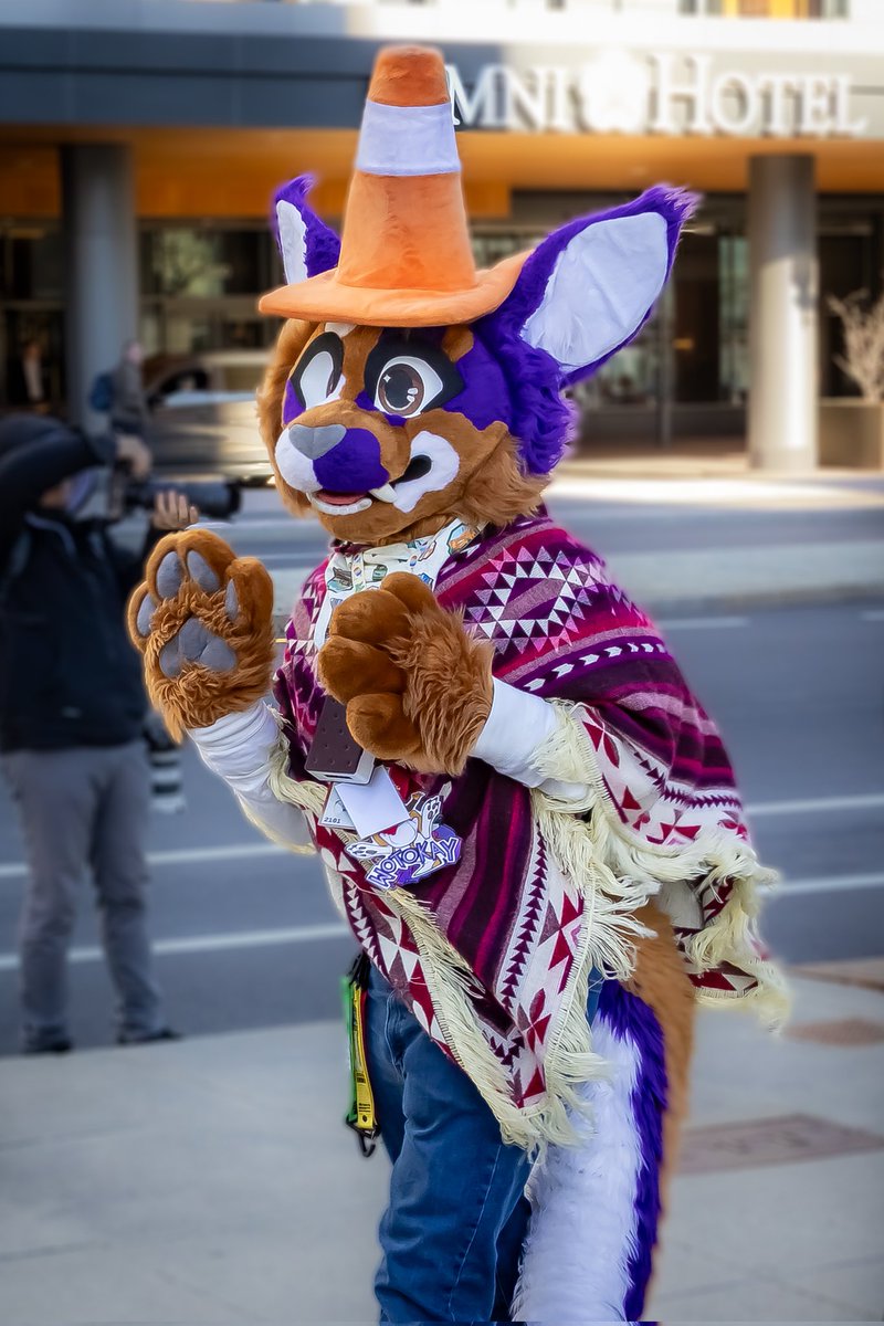 CobyWagon's tweet photo. Happy #FursuitFriday! Today we are featuring some more pictures I took @Anthro_NE.

Fursuiters: @/Quinbrys(BSKY), @ItsTheLavendeer, @zohfur, and @/wotokay (BSKY)

Picture: Me

#Furry #FurryFandom #Fursuitphotography #ANE2026 https://t.co/GjqxPsQ5fk