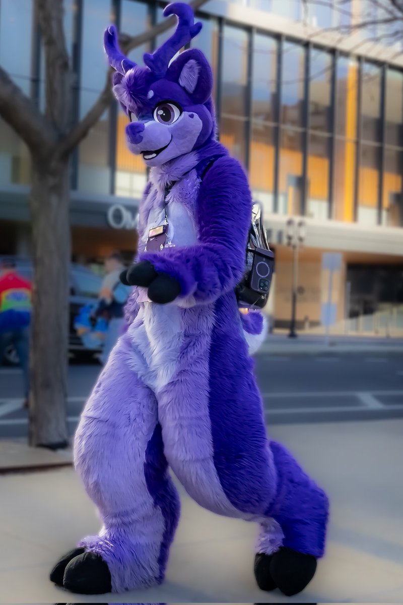 CobyWagon's tweet photo. Happy #FursuitFriday! Today we are featuring some more pictures I took @Anthro_NE.

Fursuiters: @/Quinbrys(BSKY), @ItsTheLavendeer, @zohfur, and @/wotokay (BSKY)

Picture: Me

#Furry #FurryFandom #Fursuitphotography #ANE2026 https://t.co/GjqxPsQ5fk