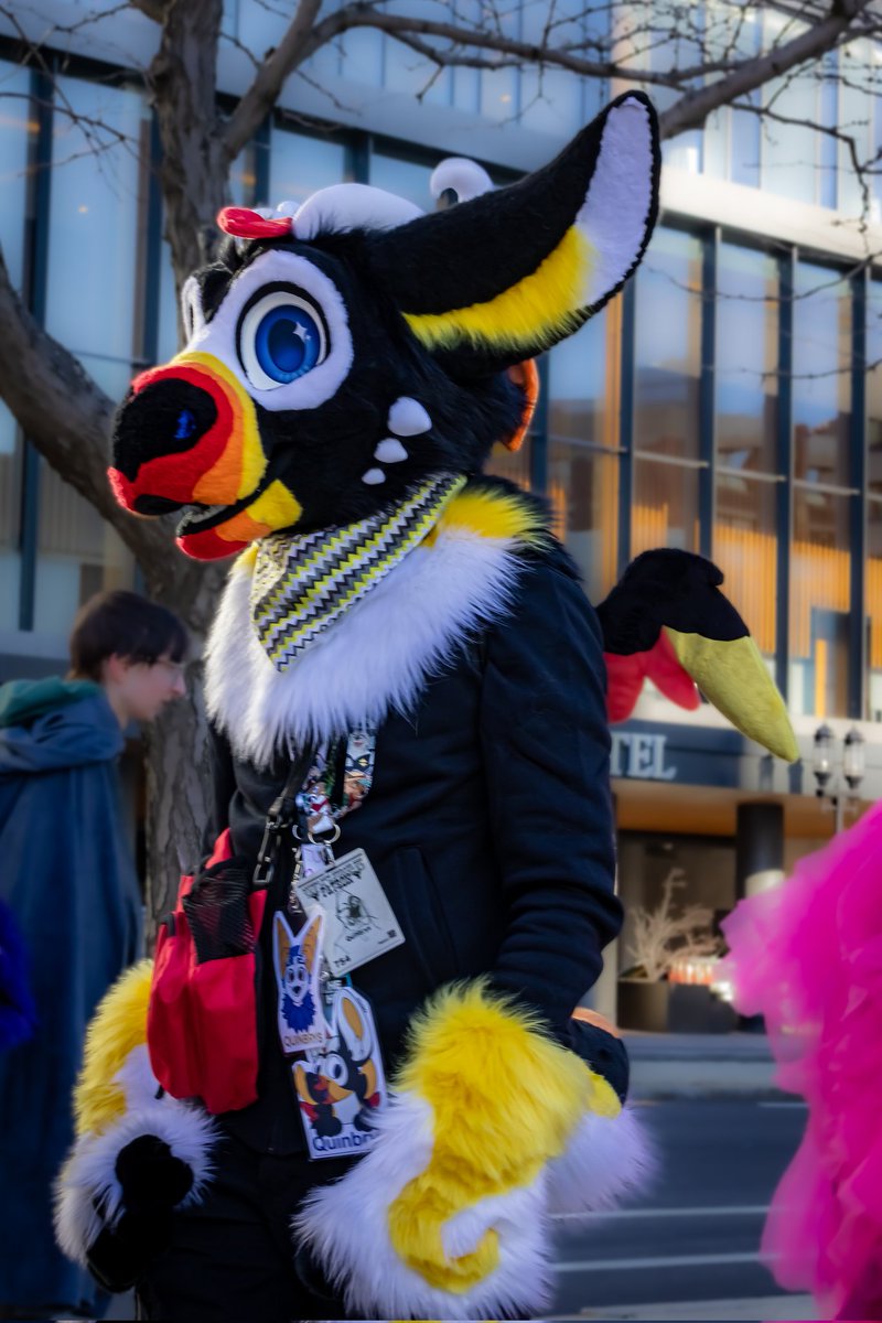 CobyWagon's tweet photo. Happy #FursuitFriday! Today we are featuring some more pictures I took @Anthro_NE.

Fursuiters: @/Quinbrys(BSKY), @ItsTheLavendeer, @zohfur, and @/wotokay (BSKY)

Picture: Me

#Furry #FurryFandom #Fursuitphotography #ANE2026 https://t.co/GjqxPsQ5fk