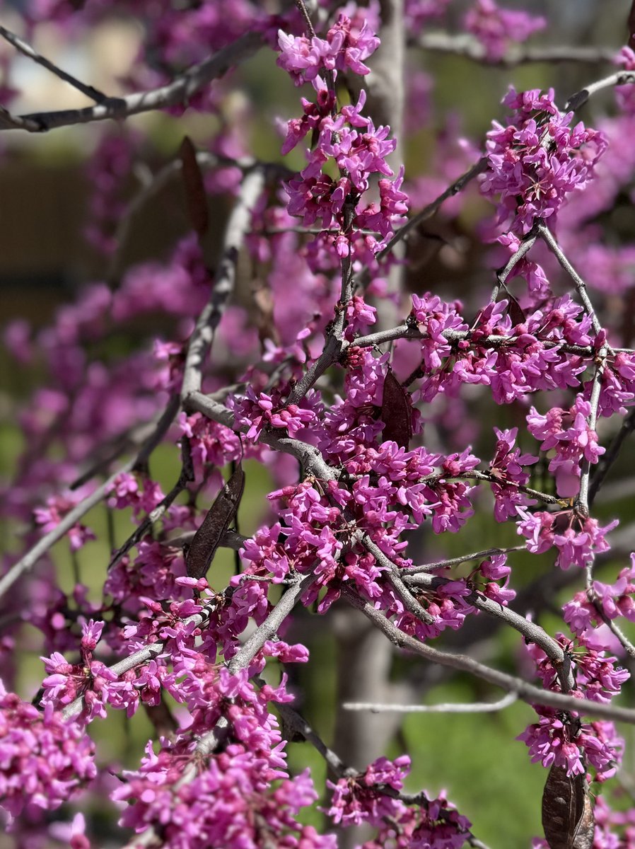 Katherine Leal Unmuth tweet media