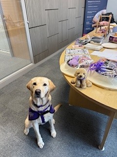 Fishers Solicitors tweet media