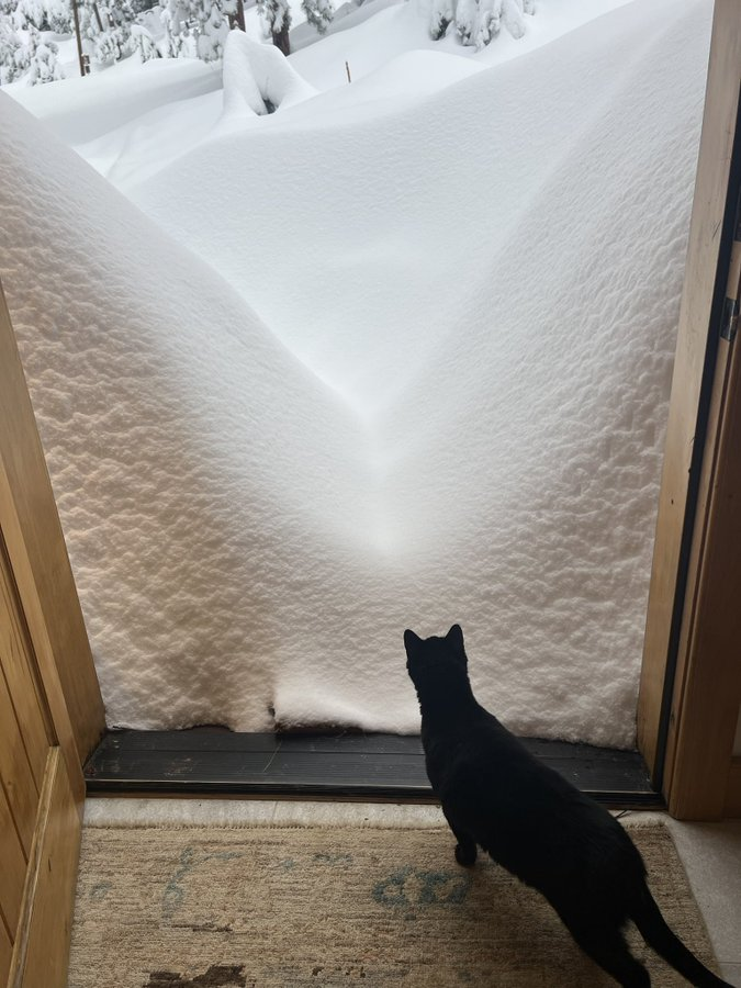 BoulderCAST Weather 🏔️⛈️ tweet media