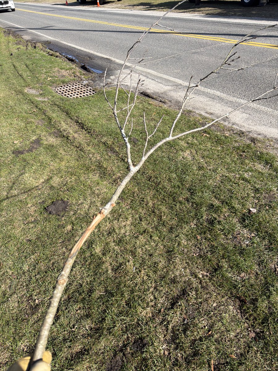 WondaMike tweet media