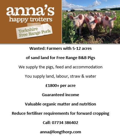 Anna Longthorp tweet media