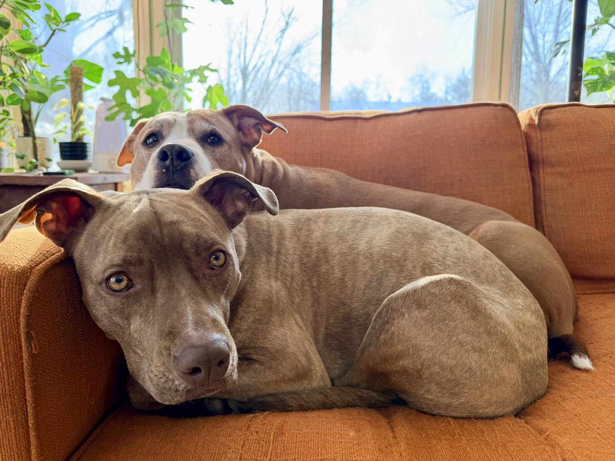 Steve Jenkins tweet media