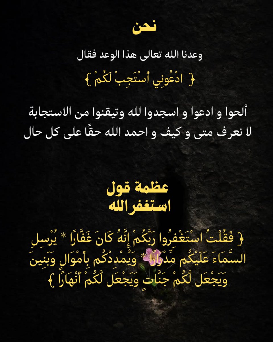 د. جاسم المطوع tweet media