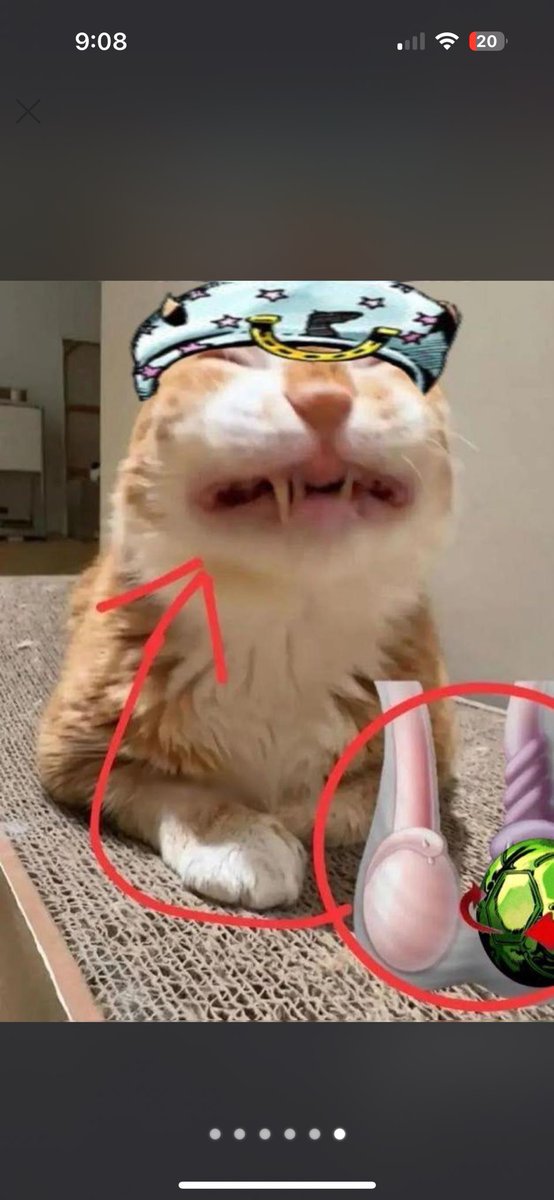 💖 Carolina Victoria 💖 tweet media