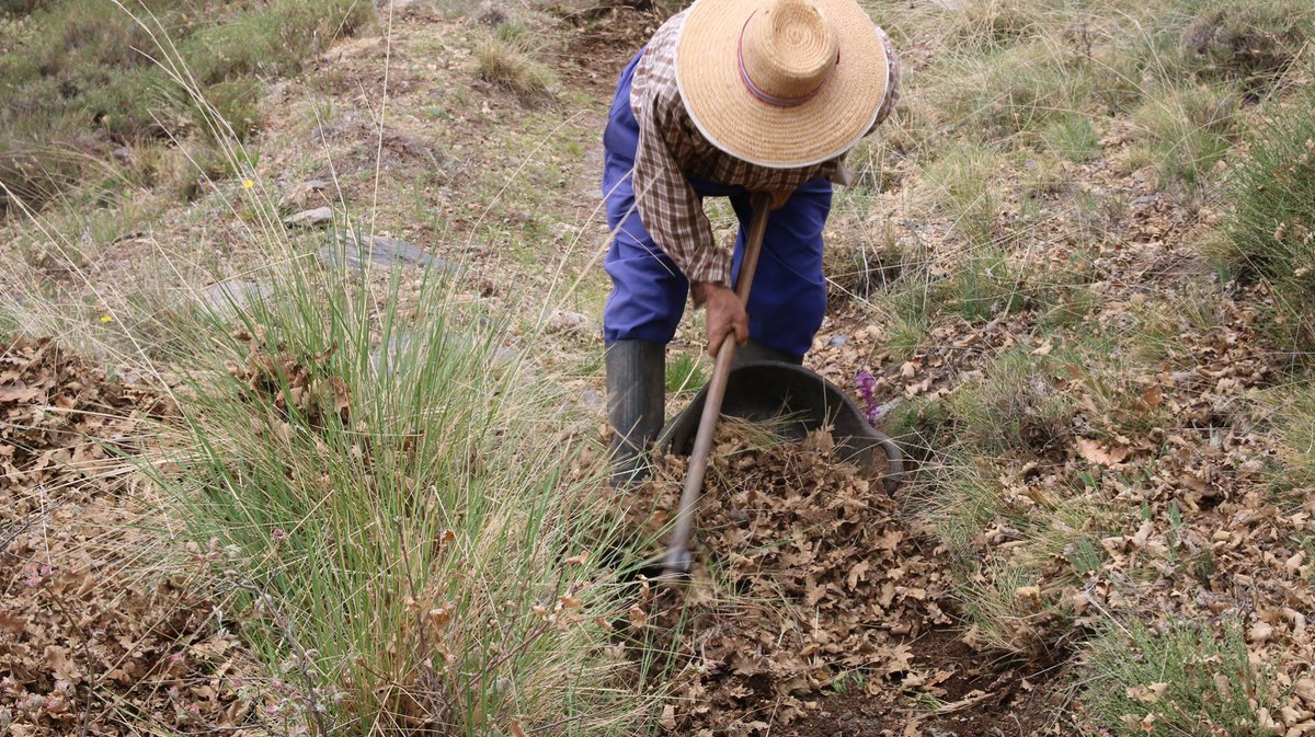 Universidad Granada tweet media