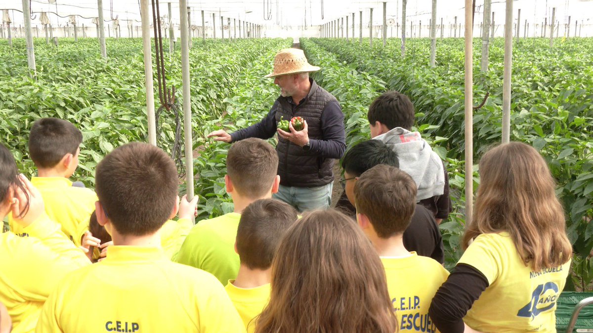 Fundación Ingenio tweet media