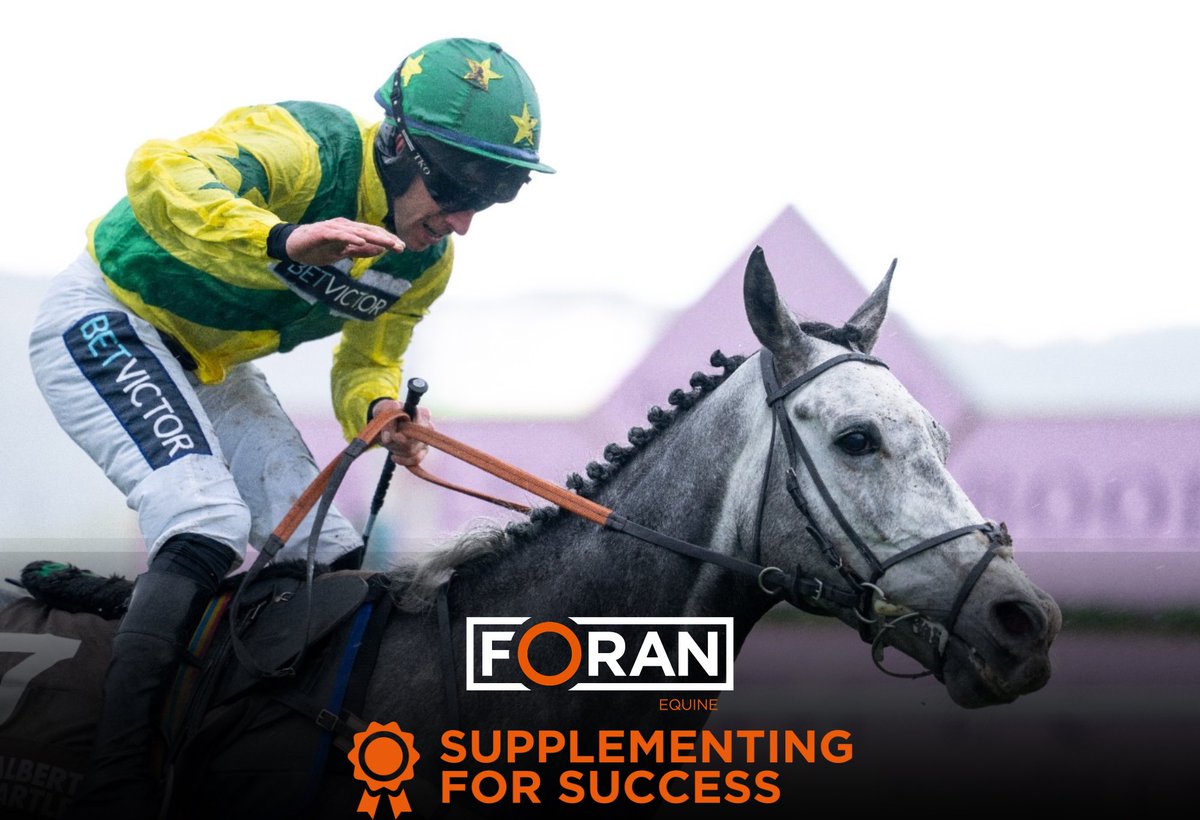 Foran Equine tweet media