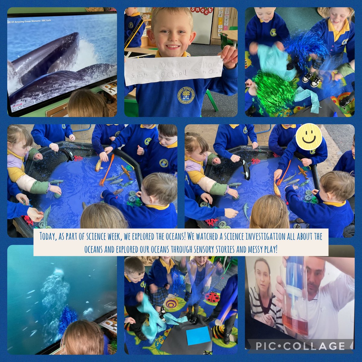 Adlington Primary tweet media