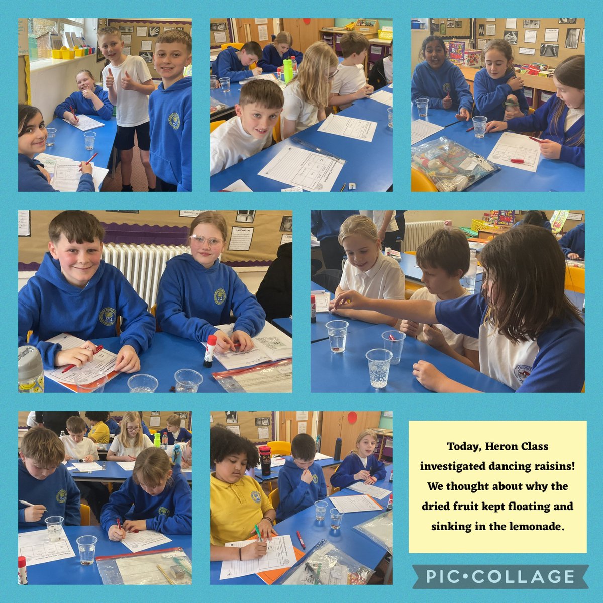 Adlington Primary tweet media