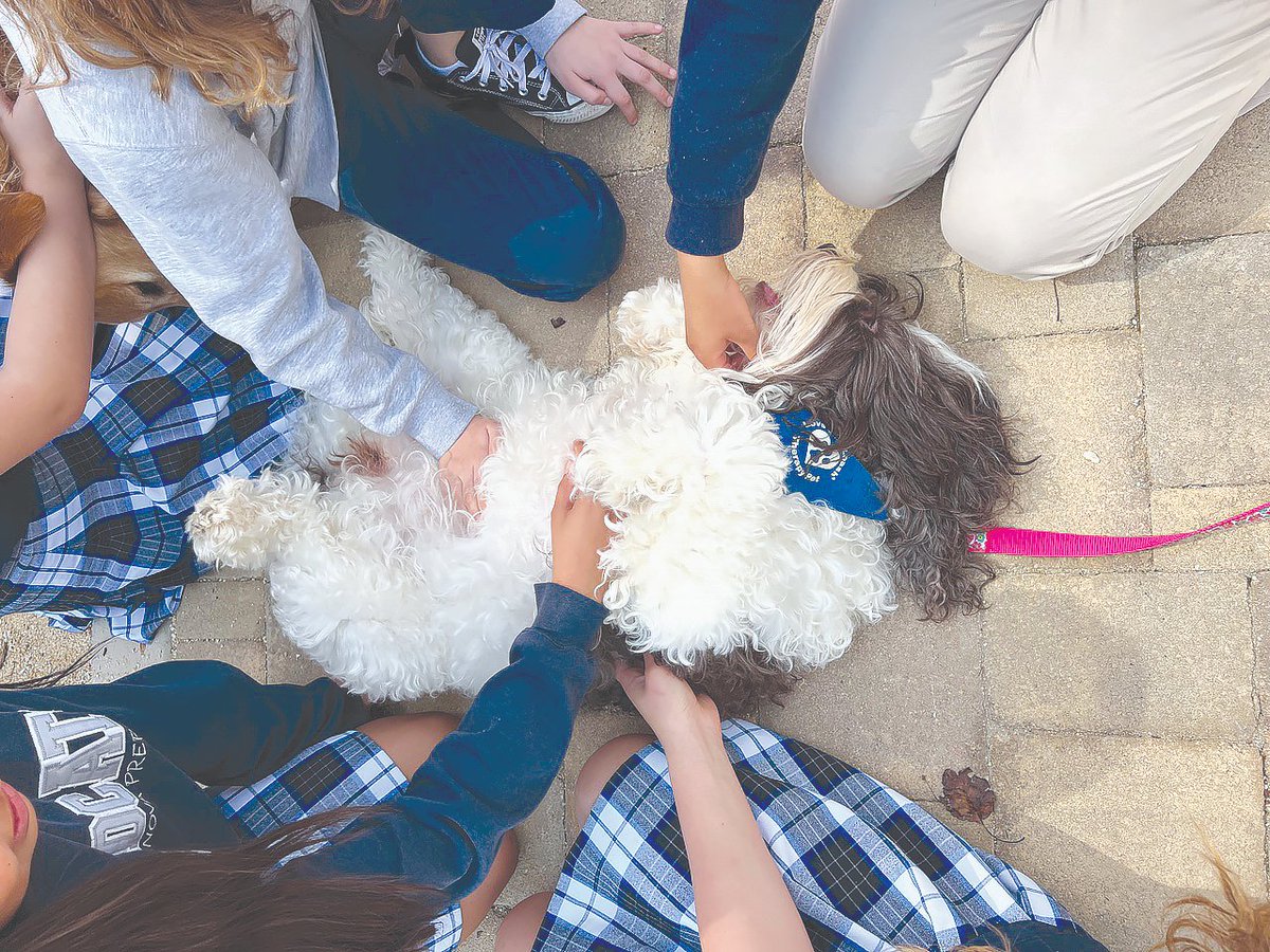 Ojai Valley News tweet media