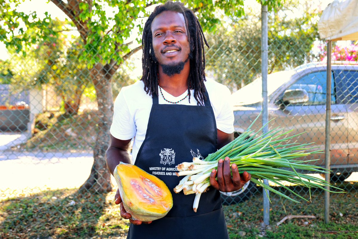 Min. of Agriculture, Fisheries & Mining, Jamaica tweet media