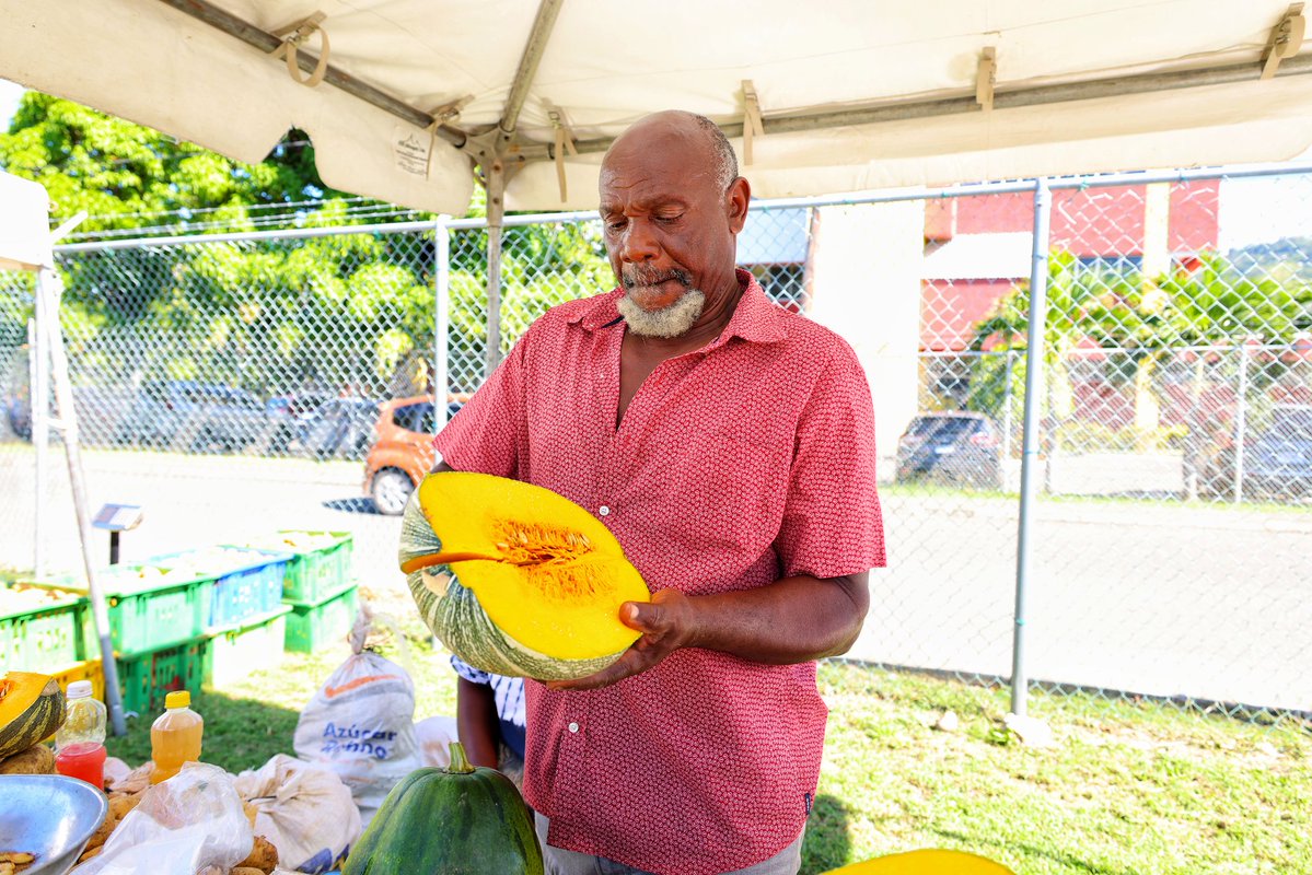 Min. of Agriculture, Fisheries & Mining, Jamaica tweet media
